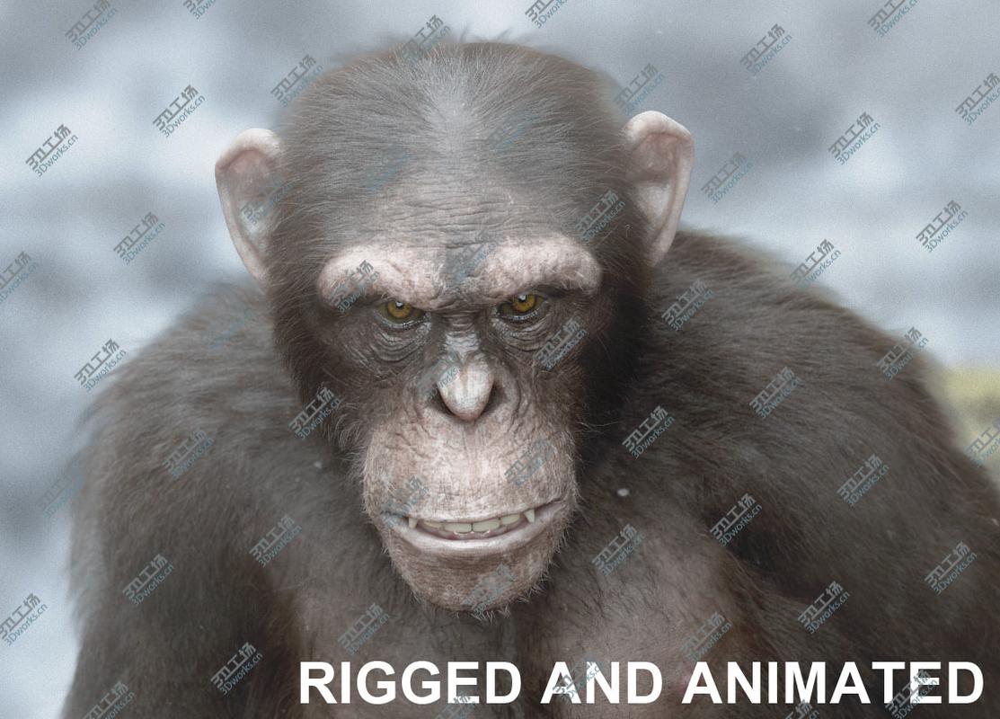 images/goods_img/20210115/3D Woman Rigged VRayNext/2.jpg